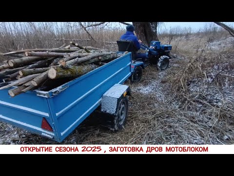 Видео: ОТКРЫТИЕ СЕЗОНА 2025 ,ЗАГОТОВКА ДРОВ МОТОБЛОКОМ/ TRANSPORTATION OF FIREWOOD IN WINTER, SEASON 2025
