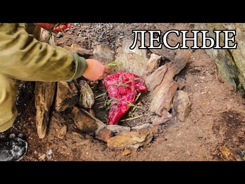 Видео: Дикая кухня - ЗАПЕЧЕННОЕ МЯСО В КАМЕННОЙ ЯМЕ | BUSHCRAFT COOKING IN STEAM PIT