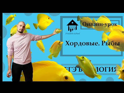 Видео: Хордовые. Надкласс РЫБЫ для ЕГЭ 2023 |ЕГЭ БИОЛОГИЯ|Freedom|