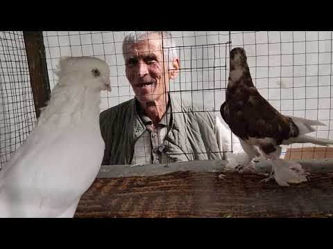 Видео: 28 октября 2025 г.