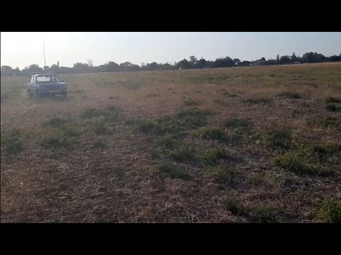 Видео: No-till отменяется! Надо дисковать!