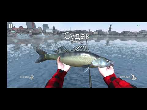 Видео: 1 сентября 2025 г.