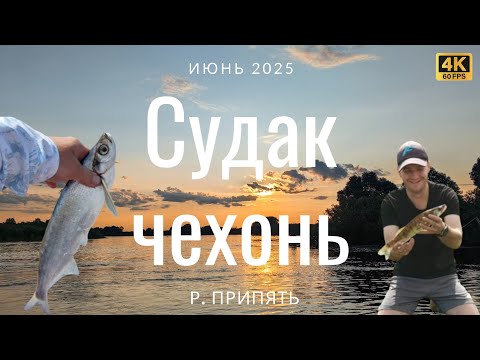 Видео: Отдых и рыбалка на реке Припять 3 дня с палаткой! ЧЕХОНЬ клюёт как с пулемёта!