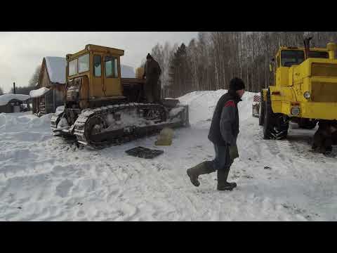 Видео: Пасека в снежном плену...намбе six