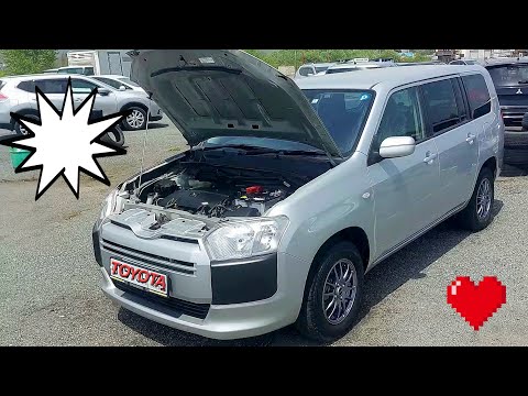 Видео: Обалденный Probox 2020 г.в. на продажу! Самый надежный автомобиль из Японии.