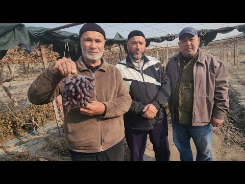 Видео: Аватар Узумини -5 С° Совук Урдими? Мана Нимага Хамма Аватарга Кизикади ?! 