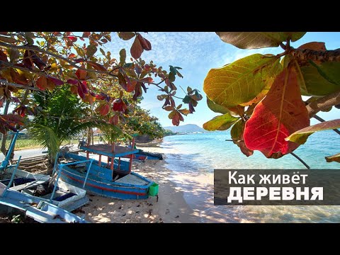 Видео: Жизнь в Тайской деревне. Как это выглядит. 1 часть.