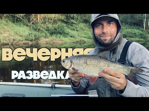 Видео: Прохлада вернула клев! Вечерняя рыболовная разведка