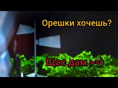 Видео: ХОЧЕШЬ ОРЕШКИ? 🌰