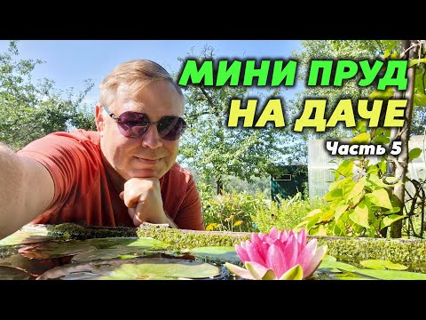 Видео: Мини пруд на даче. Часть 5. Расцвела прекрасная Нимфея. Как там рыбки. Как я ухаживаю.