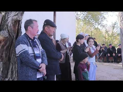 Видео: Боршетау