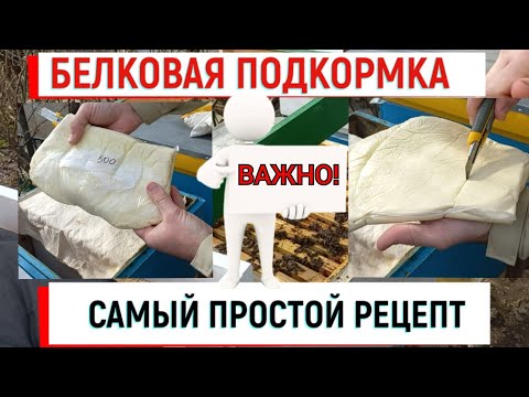 Видео: Белковая подкормка - это ОЧЕНЬ ВАЖНО! Лучшие рецепты.