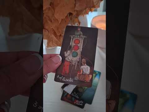 Видео: Ваша карта на ноябрь для каждого знака Зодиака 