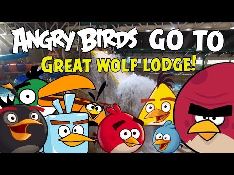 Видео: Angry Birds отправляются в Great Wolf Lodge!