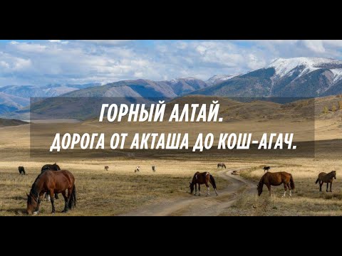 Видео: Горный Алтай дорога из Акташа до Кош-Агач.