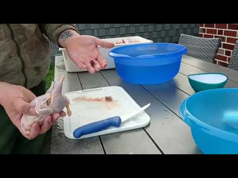 Видео: Забой перепелов от А до Я. Слабо нервным несмотреть.