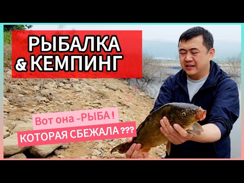Видео: Рыба сорвалась или сбежала?! 🎣 КЕМПИНГ и РЫБАЛКА в КОРЕЕ на острове КАНХВА [길정YB낚시터]