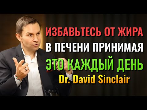 Видео: Принимать Это Ежедневно Убирает Жир с Печени! (Доктор Дэвид Синклер)