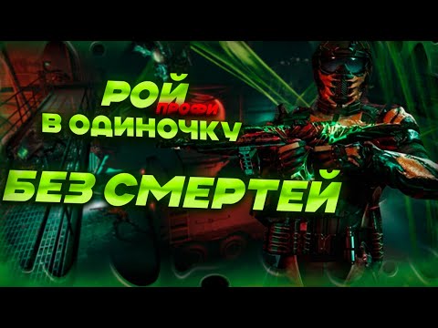Видео: РОЙ ПРОФИ В ОДИНОЧКУ — ПОЛНОЕ ПРОХОЖДЕНИЕ БЕЗ СМЕРТЕЙ