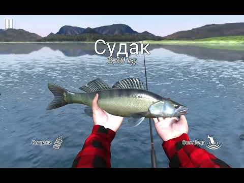 Видео: Видео прервалось простите