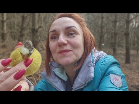 Видео: ЗАКРИЛА ГРИБНИЙ СЕЗОН  🍄‍🟫🍁🍂ПРОЩАЮСЯ З ВАМИ. КУПИЛА ПОСТІЛЬ. 