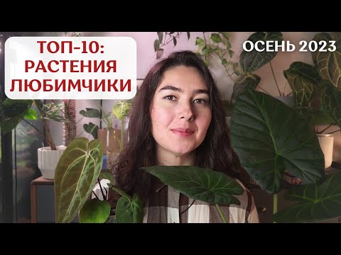 Видео: САМЫЕ любимые РАСТЕНИЯ в коллекции | ОСЕНЬ 2023