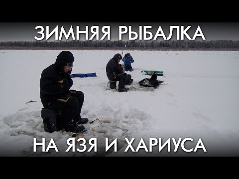 Видео: ЗИМНЯЯ РЫБАЛКА НА ЯЗЯ И ХАРИУСА