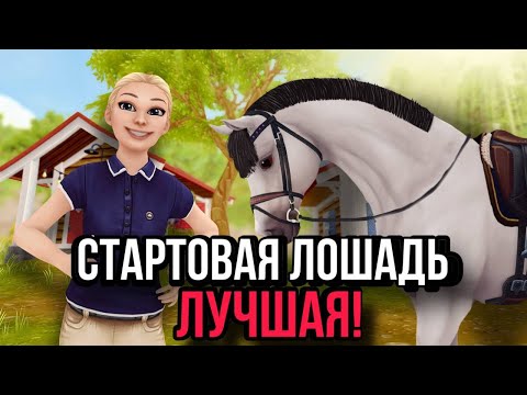 Видео: ПОЧЕМУ ТВОЯ ПЕРВАЯ ЛОШАДЬ САМАЯ ЛУЧШАЯ?! || Star Stable Online