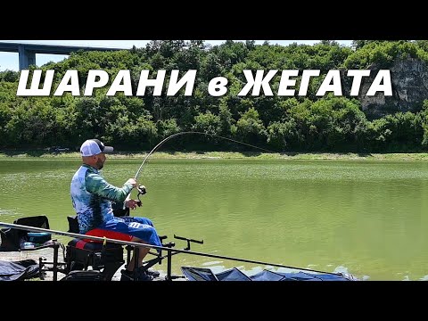 Видео: РИБОЛОВ на МЕТОД ФИДЕР след ЗЕМЕТРЕСЕНИЕ - УСПЯХ ли да ХВАНА ШАРАНИ в АДСКАТА ЖЕГА през ЛЯТОТО