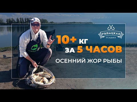 Видео: Раздача карпа на Рыбацкой Усадьбе! Отловились на фидер, успели на осенний жор.