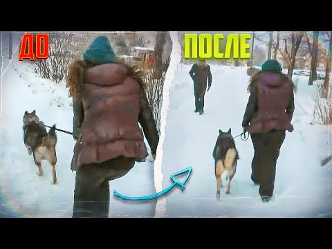 Видео: ПОВОДОК-ОШЕЙНИК "КОНТРОЛЛЕР"(Метис Амур)