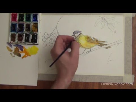 Видео: синичка акварель