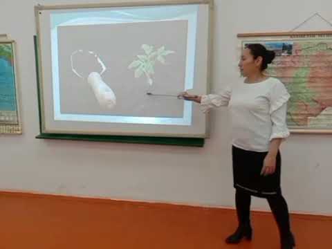 Видео: Түймекент орта мектебі / Садыкова Манзура / 7 сынып / Қазақстанның топырақ түрлері