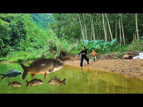 Видео: Установив ловушку для рыбы в ручье, мать-одиночка Тиу Ка поймала гигантского карпа.