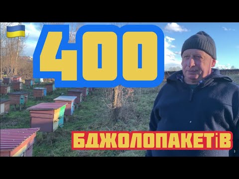 Видео: +400 #бджолопакети2023 пасіка Рудольфа #БуковинськийБджоляр. #КЛАСТЕР