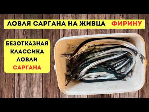 Видео: ПОДРОБНАЯ ПОШАГОВАЯ ВИДЕОИНСТРУКЦИЯ ОТ СНАСТЕЙ ДО ЛОВЛИ САРГАНА НА ЖИВЦА
