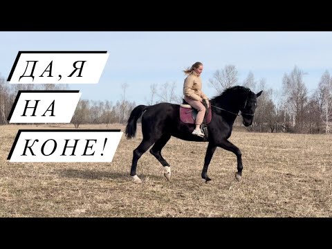Видео: В гости к коллегам! Посещение КФХ Герефорд!