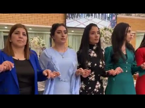 Видео: Шикарная езидская свадьба в Новосибирске🇷🇺 // Luxury ezidis wedding in Novosibirsk🦚💍 #Dawata ezdia🔥