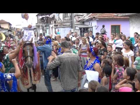 Видео: Сюнет на мите 2015