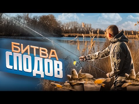 Видео: БИТВА СПОДОВЫХ УДИЛИЩ. CARP PRO RAM vs KEVLAR vs ZEMEX MAGNUS