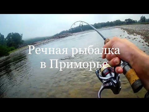 Видео: Речная рыбалка в Приморье! Ловля СИМЫ на спиннинг / Salmon Fishing in the Far East of Russia