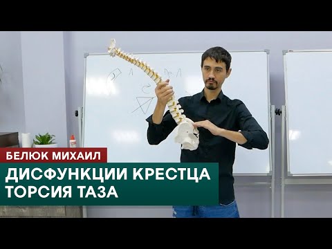 Видео: Дисфункции крестца. Торсия таза. Белюк Михаил