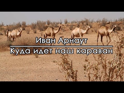 Видео: Куда идет наш караван - Иван Арнаут