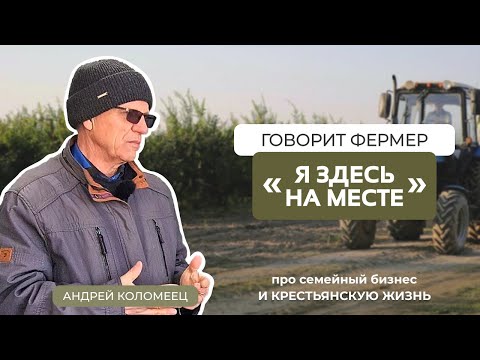 Видео: «Это мое. Я здесь на месте» – история алтайского фермера