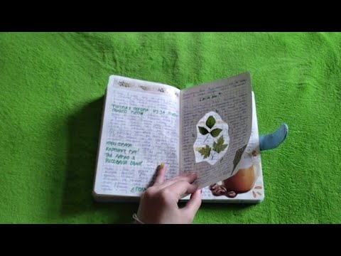 Видео: 🌿Мой 16 дневник | Обзор дневника | Обновления