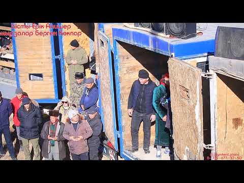 Видео: Ысты Ерік және Алишер мырзалар берген Кокпар Ысты Алишер