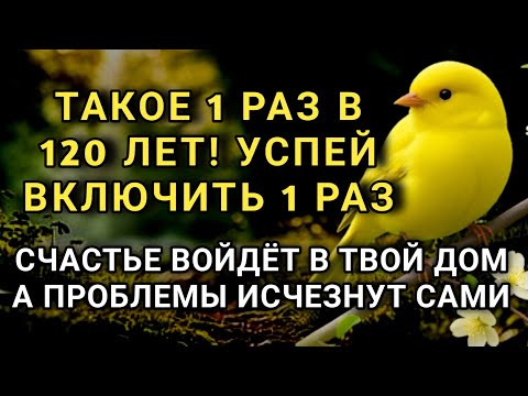 Видео: ☝️ УСПЕЙ ВКЛЮЧИТЬ 1раз! СЧАСТЬЕ ВОЙДЁТ В ДОМ, А ПРОБЛЕМЫ ИСЧЕЗНУТ САМИ! Это Чудо 🔊🤲✨🔑💯