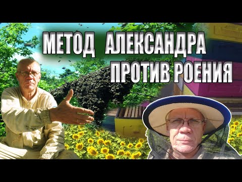 Видео: Борьба с роением пчел Метод Александра для поздних взятков