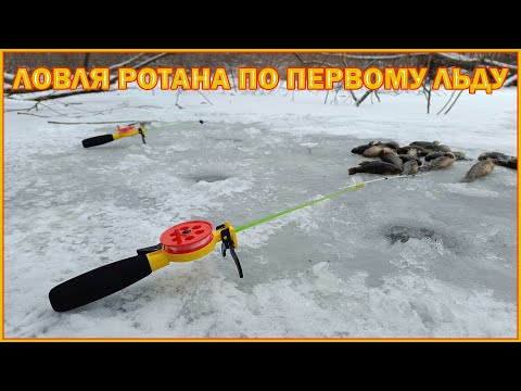 Видео: Ловля ротана по первому льду. Порыбачил от души