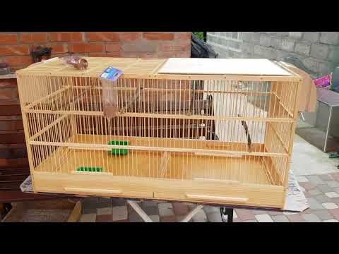 Видео: Клетка деревянная для канареек. Обзор клетки с перегородкой!